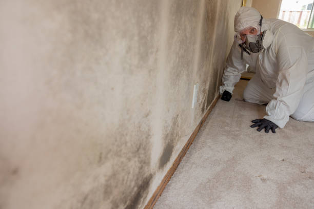 Mold Remediation for Rental Properties in Marion, AR